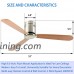 Andersonlight 52-in Brushed Nickel Flush Mount Indoor Ceiling Fan with Remote (3-Blade) - B07F7S7FL1